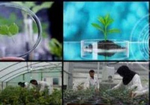 تدوین طرح پژوهشی مشترک بین مرکز تحقیقات کشاورزی و تعاون روستایی