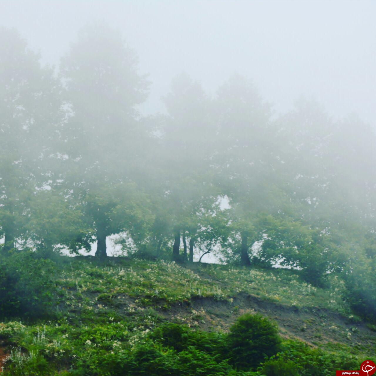 گزیده عکس های خبری در مازندران
