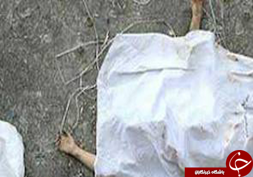 پربازدید