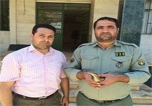 تحویل یک قطعه حواصیل به اداره حفاظت محیط زیست ماکو