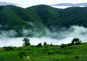 توقف پروژه انتقال آب در جنگل ابر!