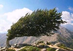 گزارش هواشناسی خراسان جنوبی
