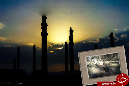 برنج کاری در حریم تخت جمشید/ بنای جهانی زیر سایه فرونشست زمین