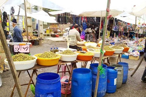 پنجشنبه بازار در &zwnj;جنگل قائم کرمان