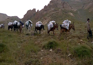 پاکسازی علم کوه از زباله