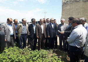 ضرورت کشت ارقام کم مصرف و پربازده در مدیریت منابع آب