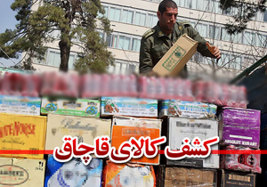 کشف محموله 20میلیارد ریالی کالای قاچاق در بندرخمیر