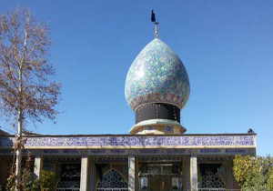 برگزاری همایش تکریم حضرت سید محمد(ع)