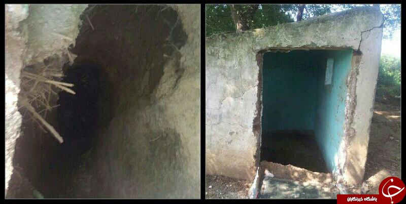 گزیده عکس های خبری در مازندران گزیده عکس های خبری در مازندران