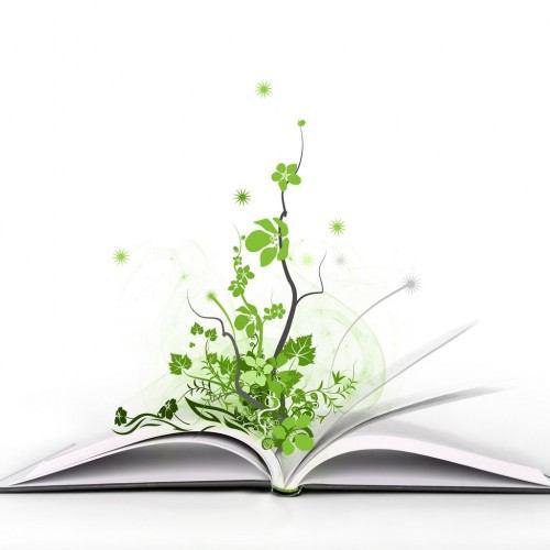 اجرای طرح مطالعه سبز برای دانش آموزان و فرهنگیان بوشهری