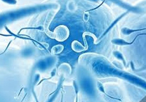 بازار غم انگیز فروش جنین + فیلم