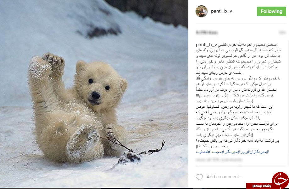 تبریک جالب پانته آ بهرام به مناسبت روزخبرنگار