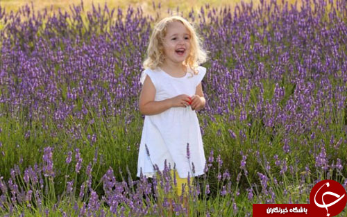 از برگزاری نخستین روز بازی&zwnj;های المپیک ریو تا حرکات نمایشی جنگنده&zwnj;های میگ