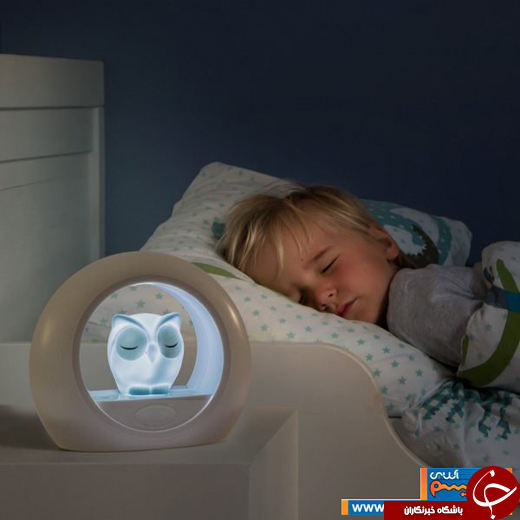 عکس/ دکوراسیونی از جنس جغد!