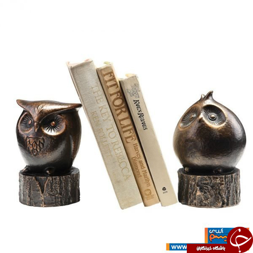 عکس/ دکوراسیونی از جنس جغد!