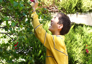 مستند «آخرین زمستان مجید» از شبکه اول سیما پخش می‌شود