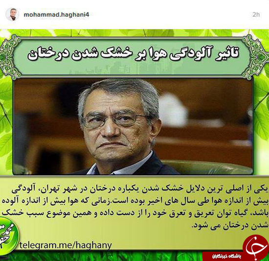 آلودگی هوا دلیل خشک شدن درختان پایتخت است