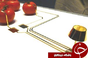 لامپی که با گوجه فرنگی روشن می&zwnj;شود!