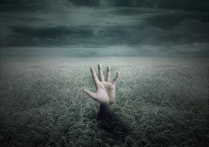 سرنوشت تکان دهنده دختری به نام ستاره +جزییات