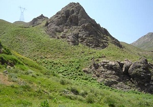 رتبه دوم کشوری در تامین علوفه