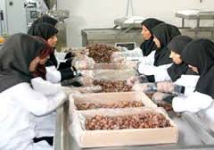 صنایع تبدیلی کشاورزی به فراموشی سپرده شده است