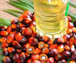 مضرات روغن پالم