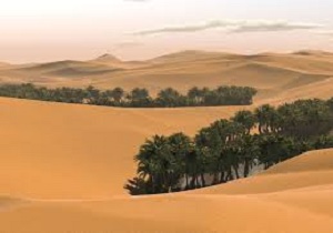 سرانه بیابان در ایران دو برابر میانگین جهانی است