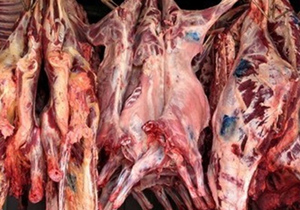 ارزآوری 500 هزار دلاری اصفهان با ضایعات گوشت
