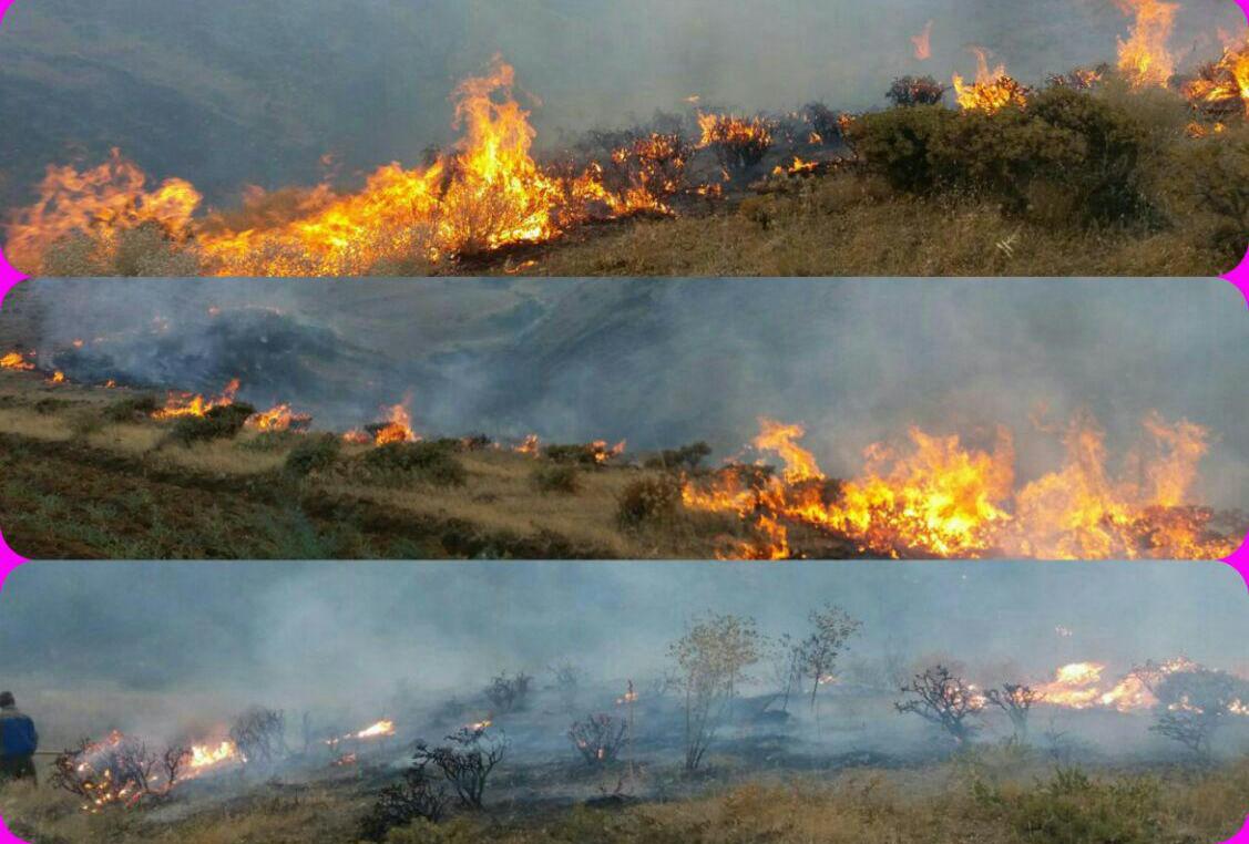 مهارحریق در مراتع روستای زرگران بخش انگوران ماهنشان+تصاویر