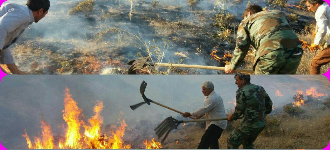 مهارحریق در مراتع روستای زرگران بخش انگوران ماهنشان+تصاویر