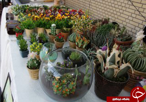 برپایی نمایشگاه از ایده تا درآمد