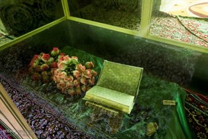 برگزاری همایش امامزادگان شهدای باقریه