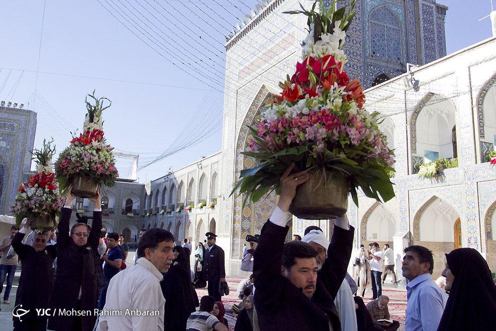 تعویض گل های ضریح مطهر حضرت رضا(ع)+ تصویر