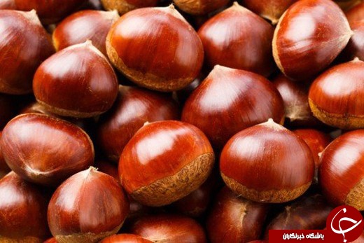 7 گیاهی که ناجی دنیا هستند +تصاویر