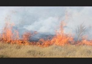 آتش سوزی در مراتع بخش خلیفان