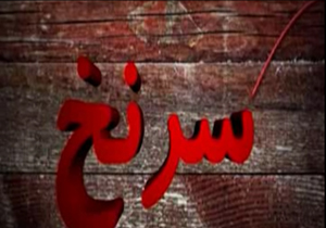 کاهش نرخ سود سپرده های بانکی برای مشتریان بانک ها + فیلم