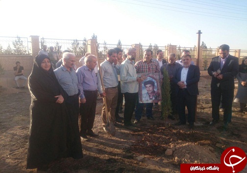 کاشت درخت به نام مشاهیر تاکستان