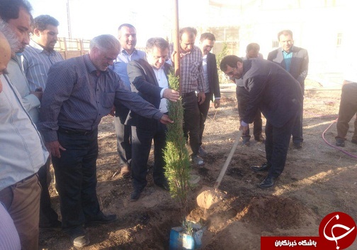 کاشت درخت به نام مشاهیر تاکستان