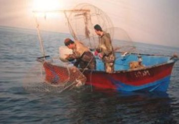 ناپدید شدن دو صیاد گناوه‌ای