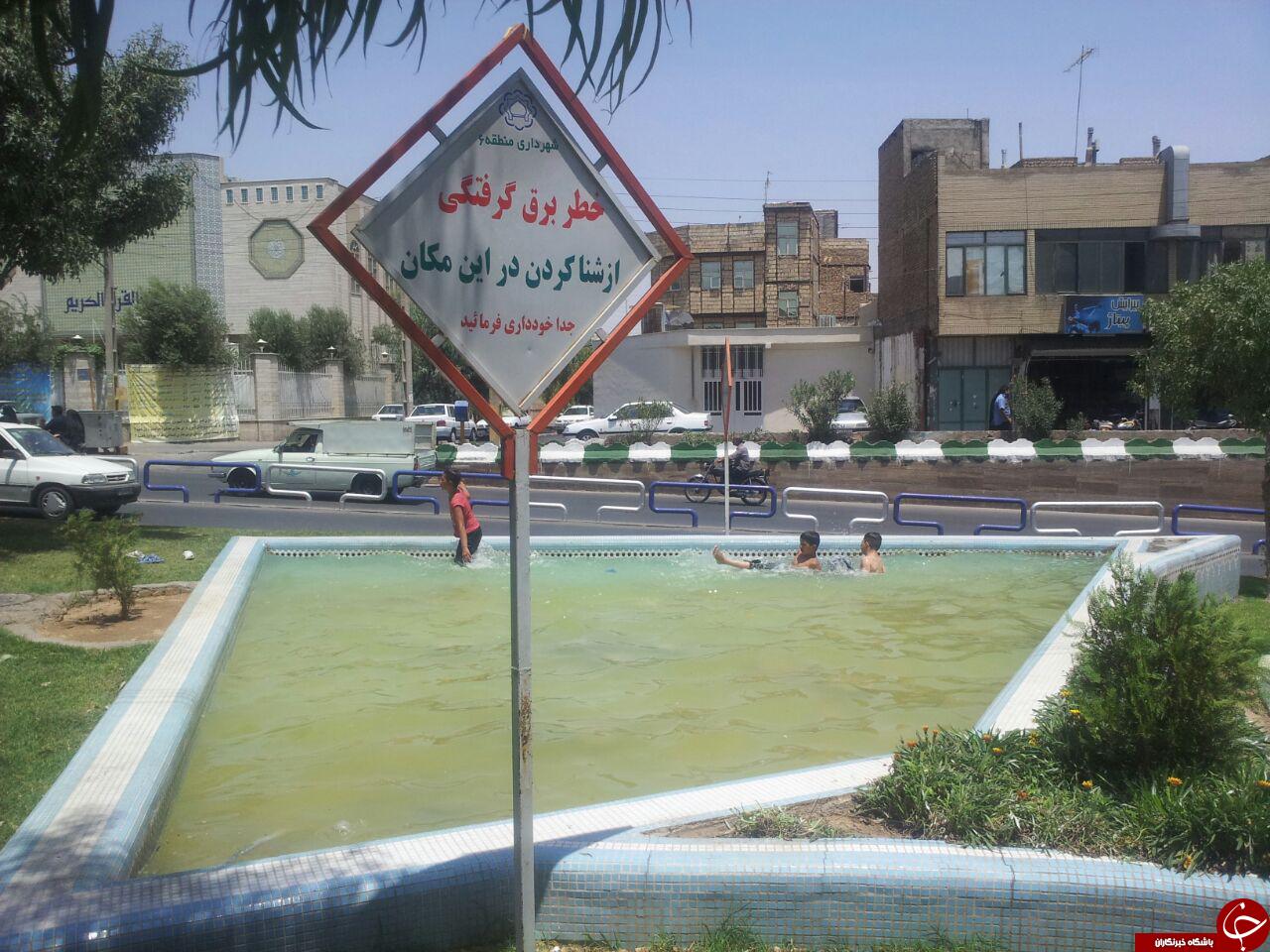 شنا کردن در حوض آب با خطر برق گرفتگی! + تصاویر