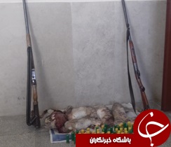 کشف لاشه 5 سر خرگوش در درميان کشف لاشه 5 سر خرگوش در درميان