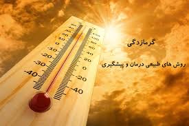 گرما 6 نفررا درزنجان راهی بیمارستان کرد
