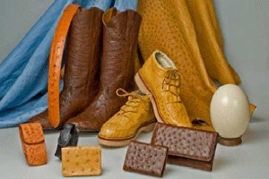 برگزاری ششمین همایش ملی چرم، کفش و صنایع وابسته ایران در تبریز