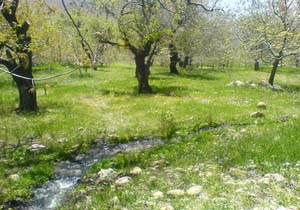 روستای ننیز رابر با چشمه سارهای زیبا