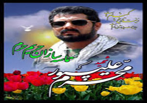 سهم من از جهاد همسرم حفظ حجابم است