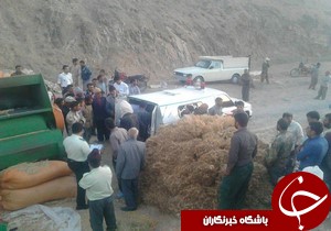 خرمن کوب قاتل کشاورز 55 ساله