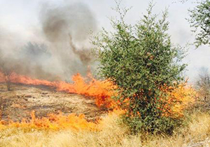 مهار آتش سوزی درکوه برز