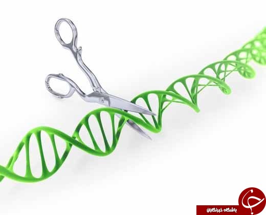 المپیک سال 2056 به چه شکل خواهد بود؟