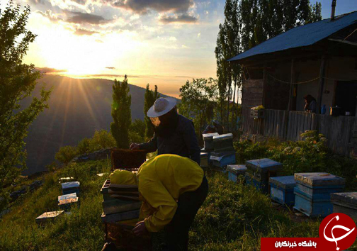 گزیده عکس های خبری در مازندران