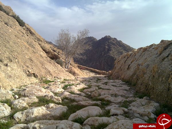 سنگفرشِ پیدا شده در کویر، متعلق به چه جاده ای است؟+عکس